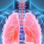 Conmemoran este 25 de septiembre el Día Mundial del Pulmón bajo el lema «Una vida de salud pulmonar»